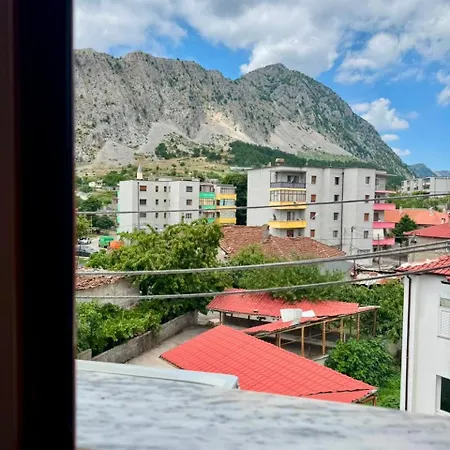 Flat In Apartment Leskovik